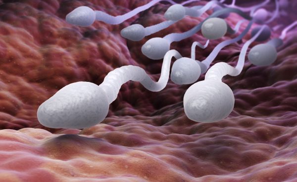 8 Essential Health Benefits Of Semen You May Not Know Bathmate Blog