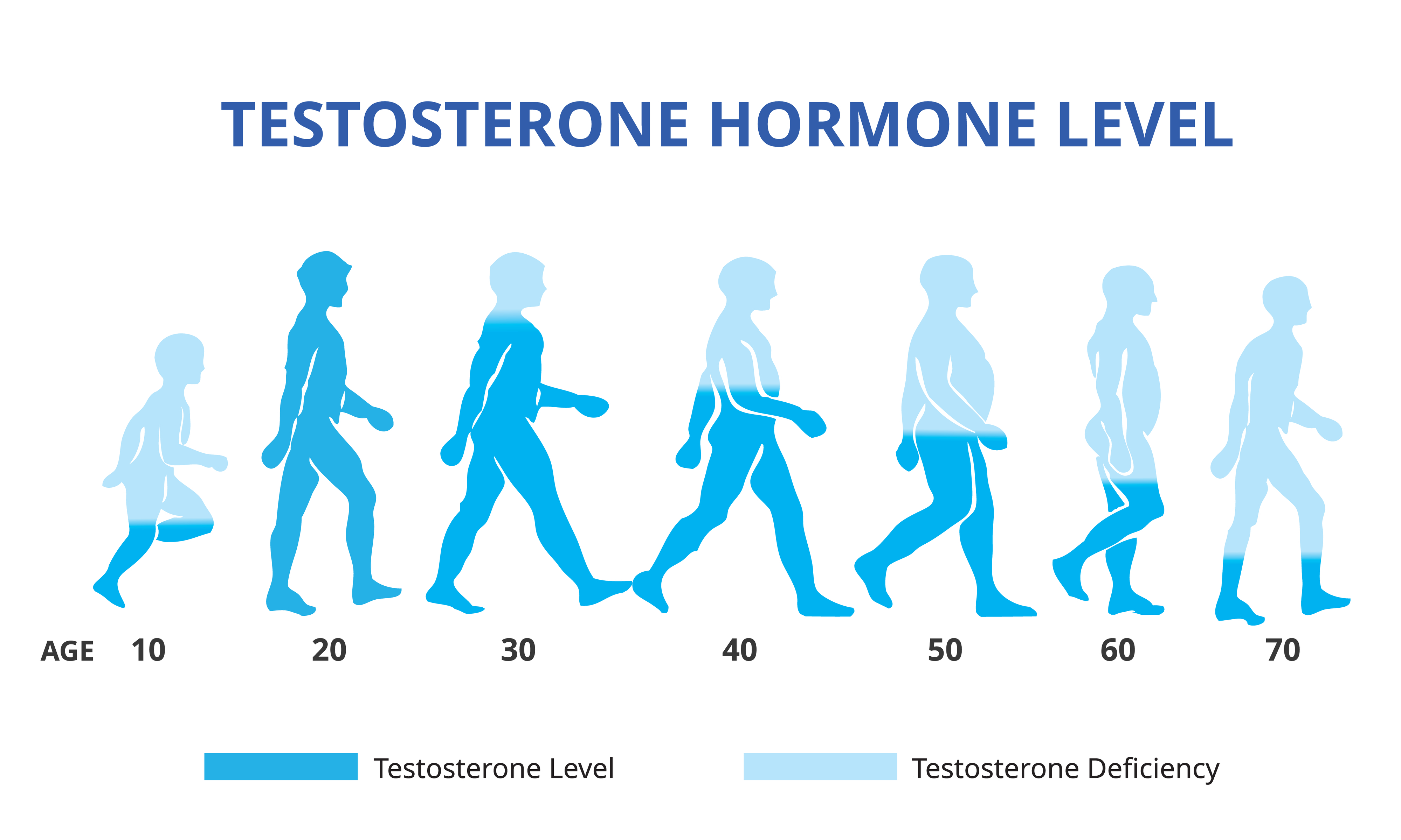 testosterone through the ages