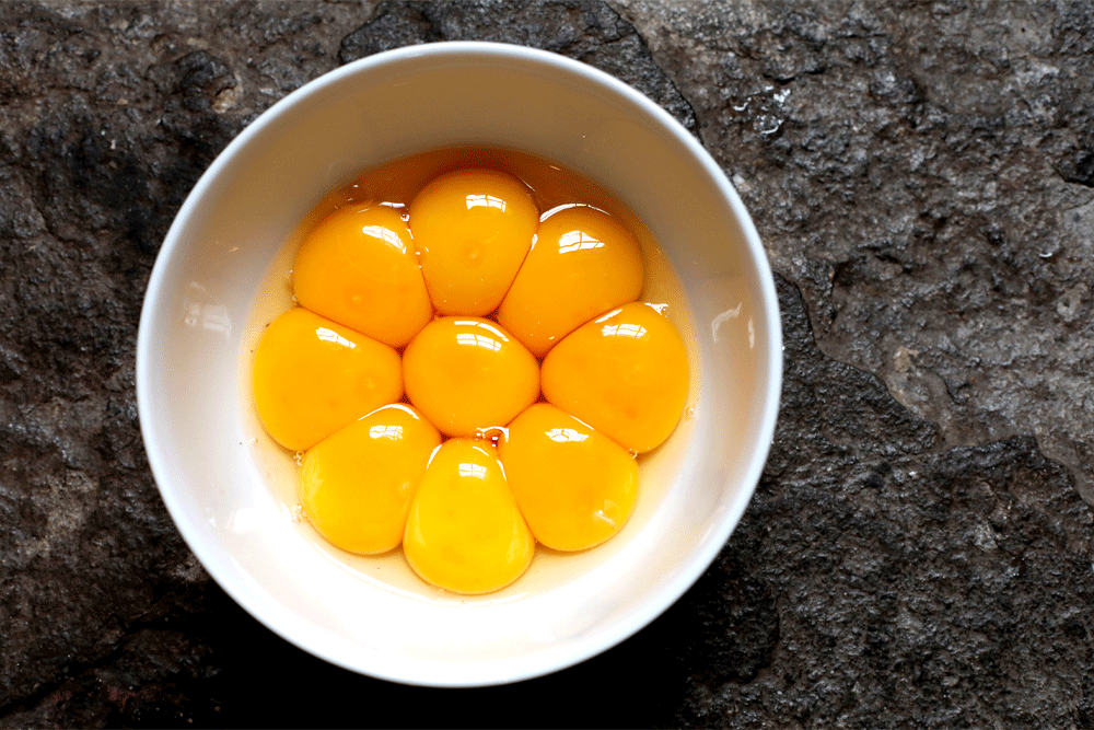 egg yolks are rich in vitamin D