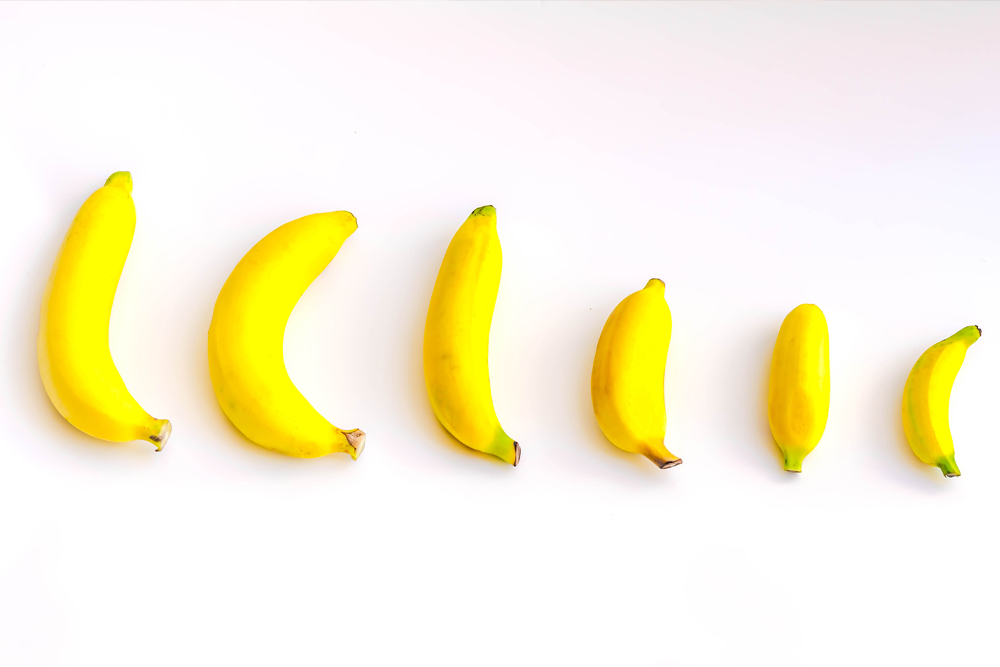 Bananas representing penis sizes from large to small