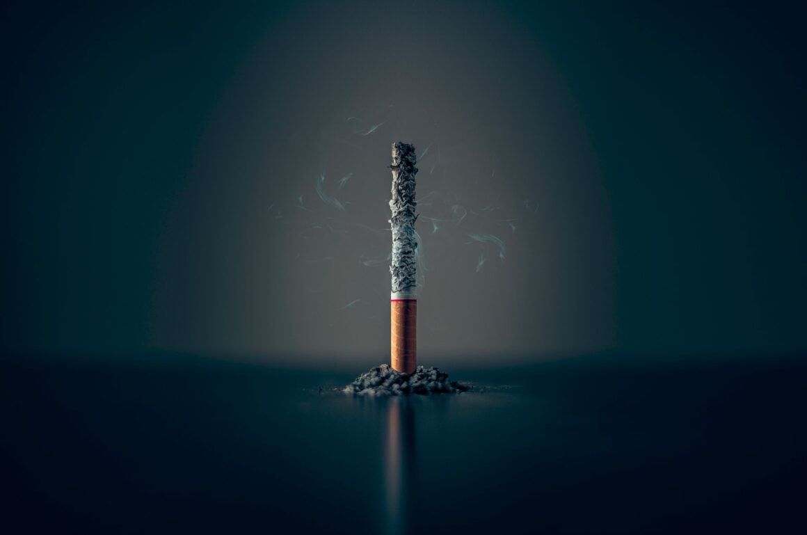 An artistic shot of an single cigarette standing up fully burned out