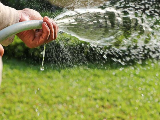 Close-up of hand holding garden hose