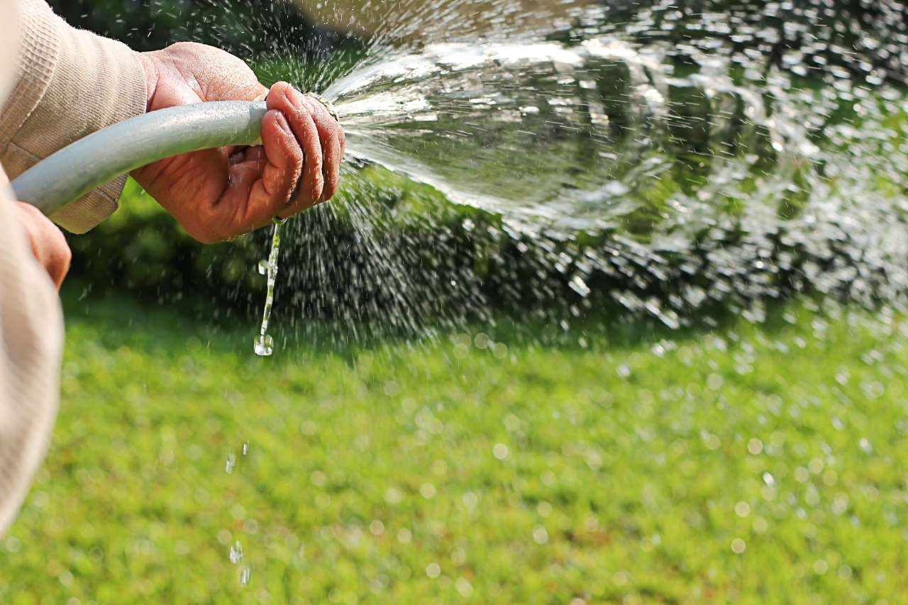 Close-up of hand holding garden hose