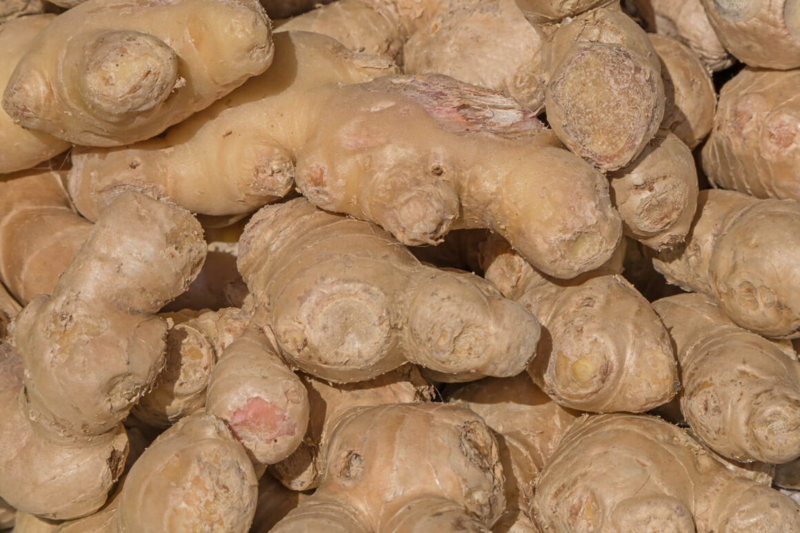 a heap of ginger roots