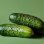 Fresh pimpled cucumbers arranged neatly on a green surface