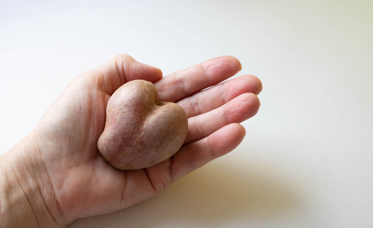 hand holding a heart shaped potato