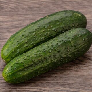 Ripe organic natural green cucumber