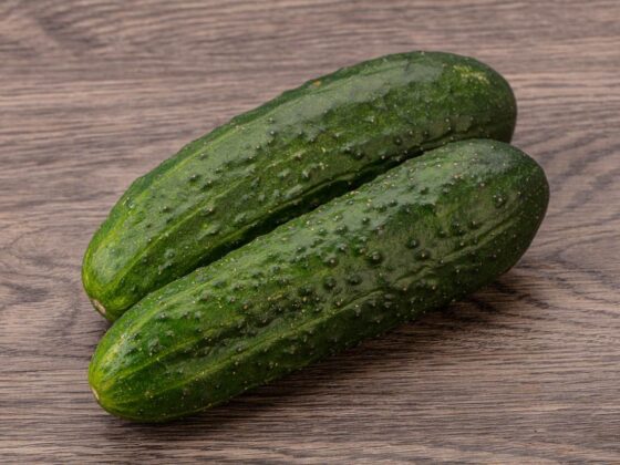 Ripe organic natural green cucumber