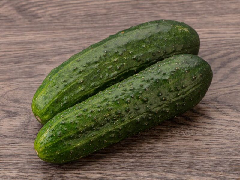 Ripe organic natural green cucumber